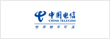 中國電信_語言橋翻譯合作案例